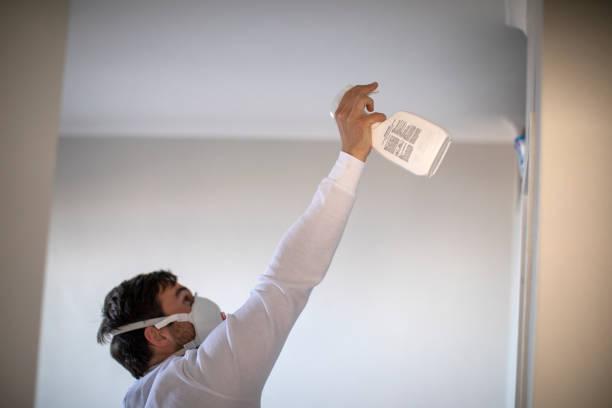 Best Residential Mold Removal  in Dland, MI
