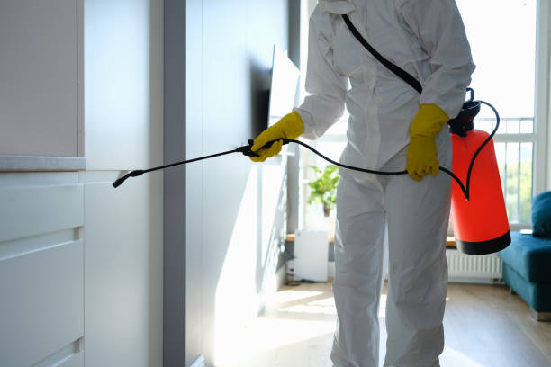 Best Mold Remediation  in Dland, MI