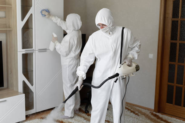 Best Toxic Mold Removal  in Dland, MI